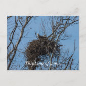 Doppeladlerproblem Postkarte (Vorderseite)