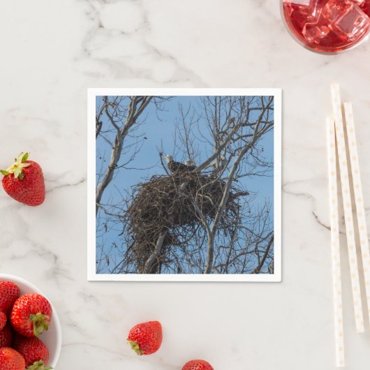 Doppeladlerproblem Serviette (Beispiel)