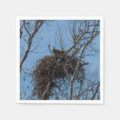 Doppeladlerproblem Serviette (Vorderseite)