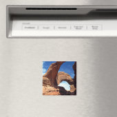 Doppelargenmagnet Magnet (In Situ (Geschirrspüler))