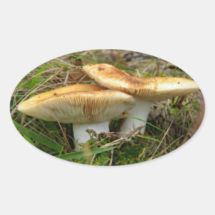 Doppelaufkleber Ovaler Aufkleber