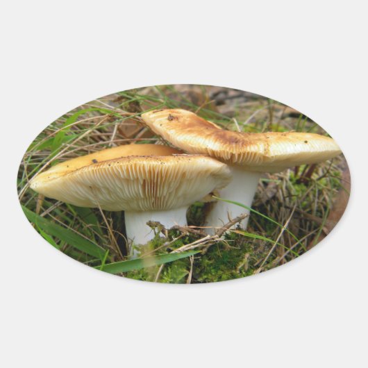 Doppelaufkleber Ovaler Aufkleber (Vorderseite)