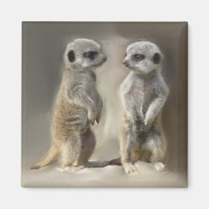 Doppelbaby Meerkats Magnet