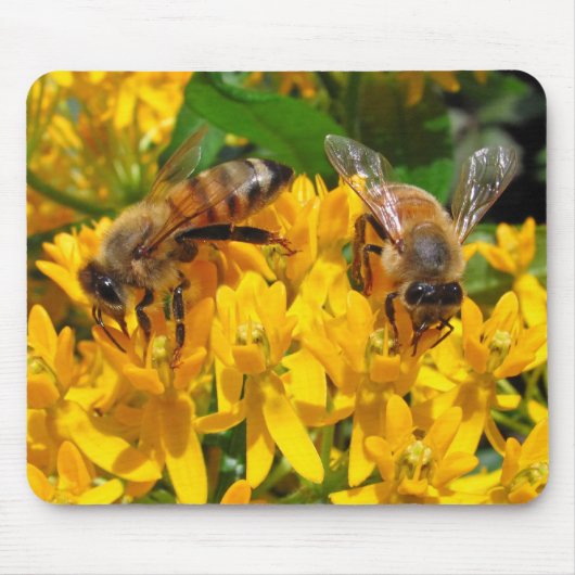 Doppelbienen ~ mousepad (Vorne)