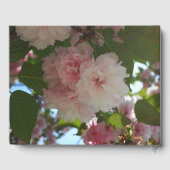 Doppelblühende Kirschbaum I Frühjahrsblüte Gästebuch (Rückseite)