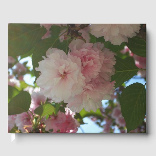 Doppelblühende Kirschbaum I Frühjahrsblüte Gästebuch (Vorderseite)
