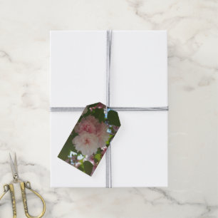 Doppelblühende Kirschbaum I Frühjahrsblüte Geschenkanhänger