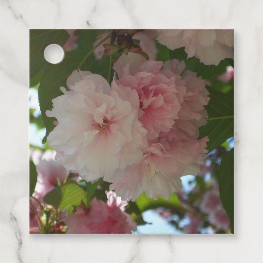Doppelblühende Kirschbaum I Frühjahrsblüte Geschenkanhänger (Vorderseite)