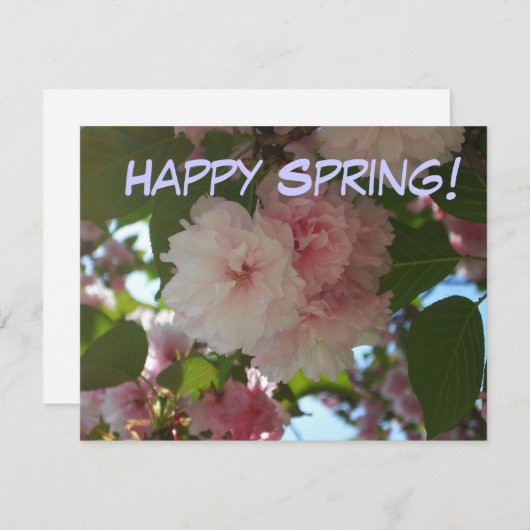 Doppelblühende Kirschbaum I Frühjahrsblüte Mitteilungskarte (Vorne/Hinten)