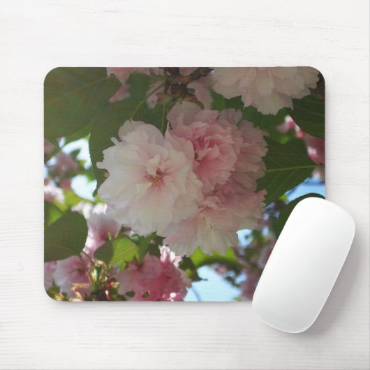 Doppelblühende Kirschbaum I Frühjahrsblüte Mousepad (Mit Mouse)