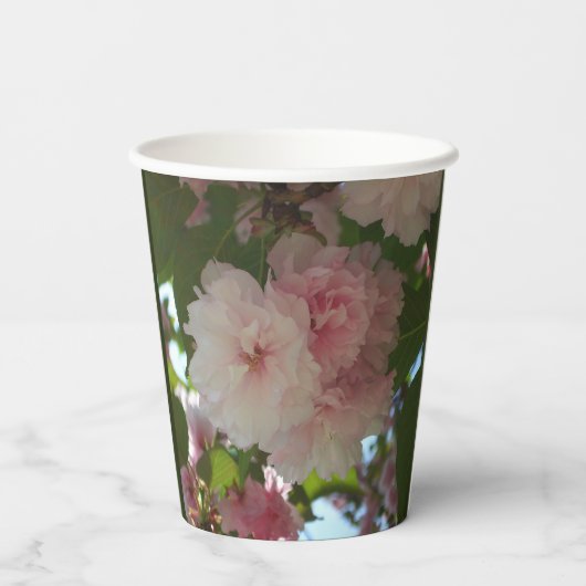 Doppelblühende Kirschbaum I Frühjahrsblüte Pappbecher (Rückseite)