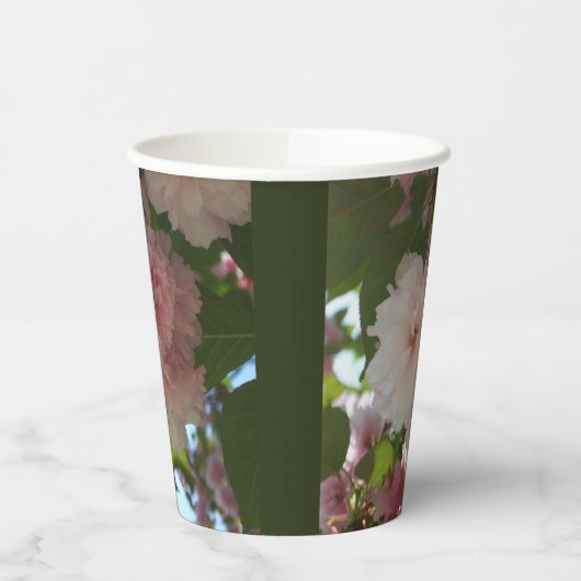 Doppelblühende Kirschbaum I Frühjahrsblüte Pappbecher (Links)