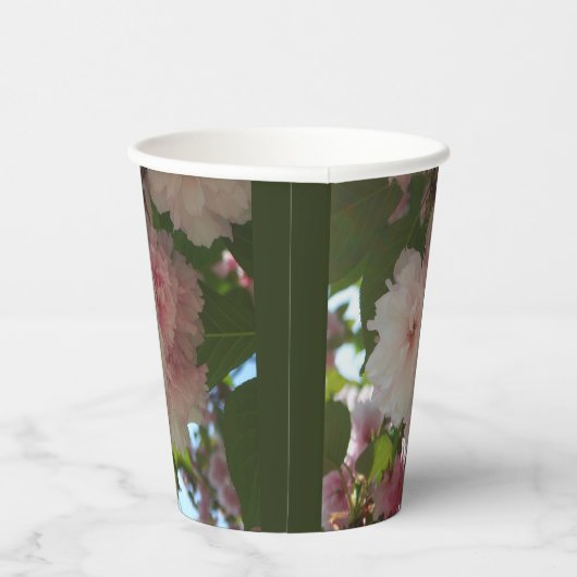 Doppelblühende Kirschbaum I Frühjahrsblüte Pappbecher (Rechts)