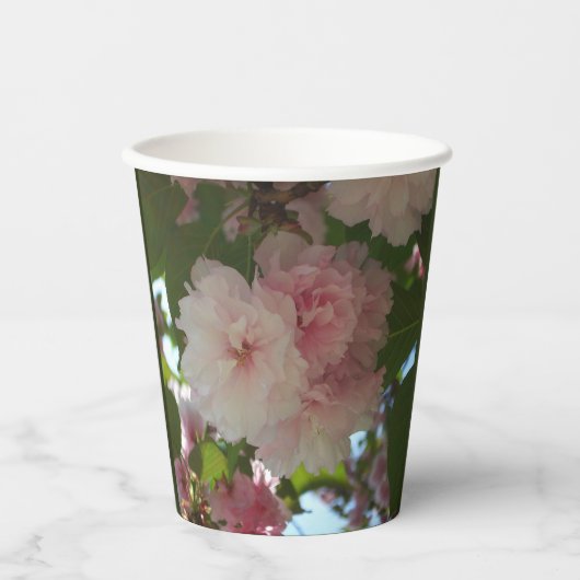 Doppelblühende Kirschbaum I Frühjahrsblüte Pappbecher (Vorderseite)