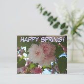 Doppelblühende Kirschbaum I Frühjahrsblüte Postkarte (Stehend Vorderseite)