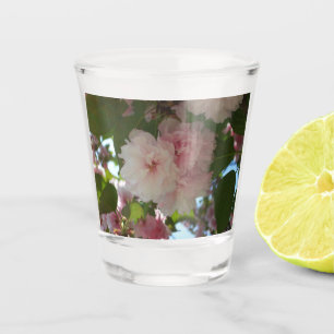 Doppelblühende Kirschbaum I Frühjahrsblüte Schnapsglas
