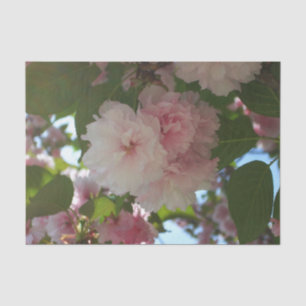 Doppelblühende Kirschbaum I Frühjahrsblüte Seidenpapier