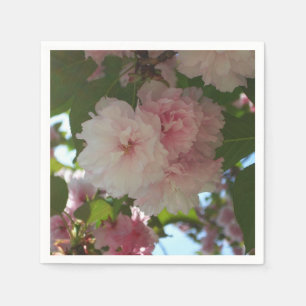 Doppelblühende Kirschbaum I Frühjahrsblüte Serviette
