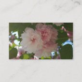 Doppelblühende Kirschbaum I Frühjahrsblüte Visitenkarte (Rückseite)