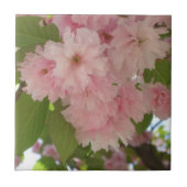 Doppelblühende Kirschbaum II Frühlingsflora Fliese (Vorderseite)