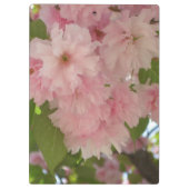 Doppelblühende Kirschbaum II Frühlingsflora Klemmbrett (Rückseite)