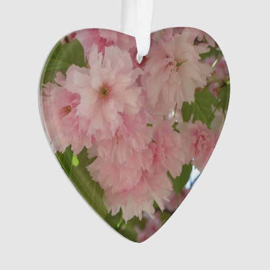 Doppelblühende Kirschbaum II Frühlingsflora Ornament (Vorderseite)