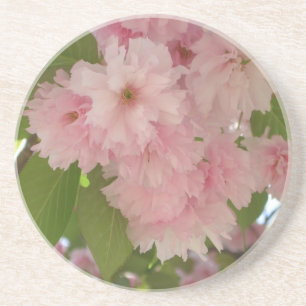 Doppelblühende Kirschbaum II Frühlingsflora Sandstein Untersetzer