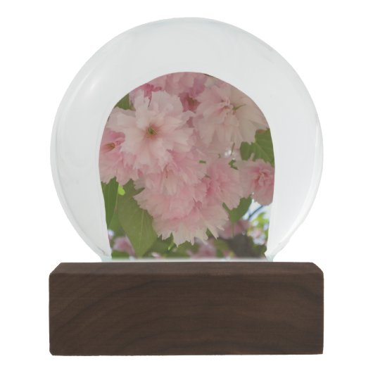 Doppelblühende Kirschbaum II Frühlingsflora Schneekugel (Rückseite)