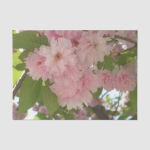 Doppelblühende Kirschbaum II Frühlingsflora Seidenpapier