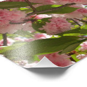 Doppelblühende Kirschbaum III Frühlingsflora Fotodruck (Ecke)