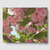Doppelblühende Kirschbaum III Frühlingsflora Gästebuch (Rückseite)