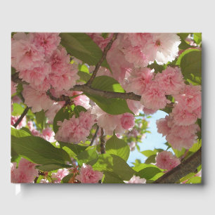 Doppelblühende Kirschbaum III Frühlingsflora Gästebuch