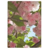 Doppelblühende Kirschbaum III Frühlingsflora Klemmbrett (Rückseite)