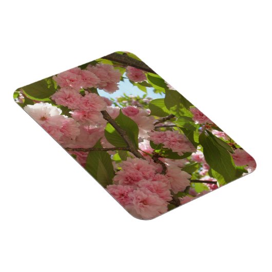 Doppelblühende Kirschbaum III Frühlingsflora Magnet (Rechte Seite)