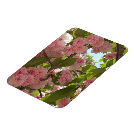 Doppelblühende Kirschbaum III Frühlingsflora Magnet (Linke Seite)