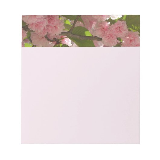Doppelblühende Kirschbaum III Frühlingsflora Notizblock (Vorderseite)