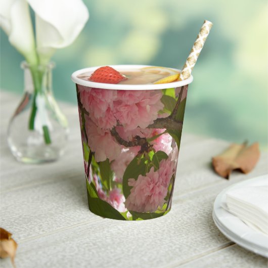 Doppelblühende Kirschbaum III Frühlingsflora Pappbecher (In Situ)