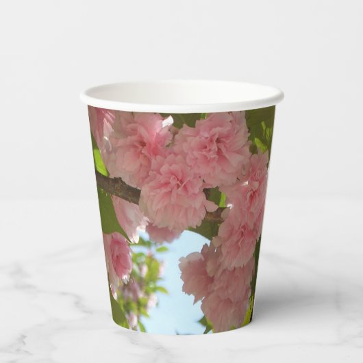 Doppelblühende Kirschbaum III Frühlingsflora Pappbecher (Rückseite)