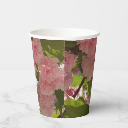 Doppelblühende Kirschbaum III Frühlingsflora Pappbecher (Rechts)