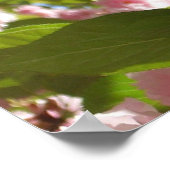 Doppelblühende Kirschbaum III Frühlingsflora Poster (Ecke)