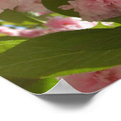 Doppelblühende Kirschbaum III Frühlingsflora Poster (Ecke)