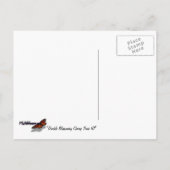 Doppelblühende Kirschbaum III Frühlingsflora Postkarte (Rückseite)