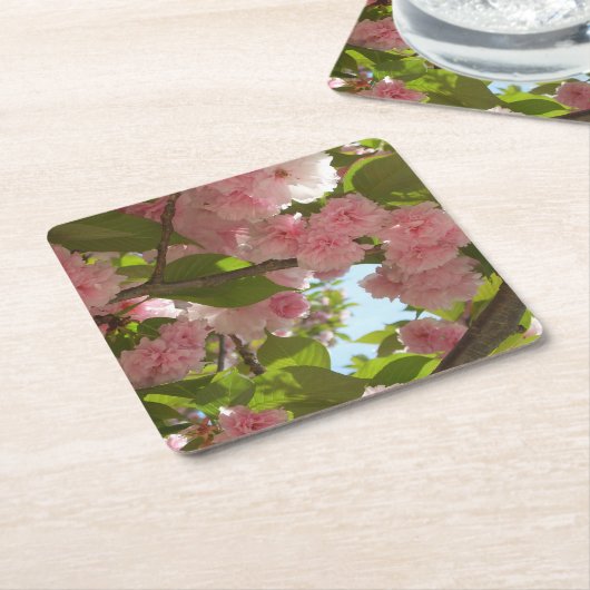 Doppelblühende Kirschbaum III Frühlingsflora Rechteckiger Pappuntersetzer (angewinkelt)