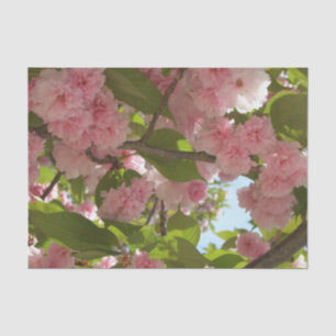 Doppelblühende Kirschbaum III Frühlingsflora Seidenpapier