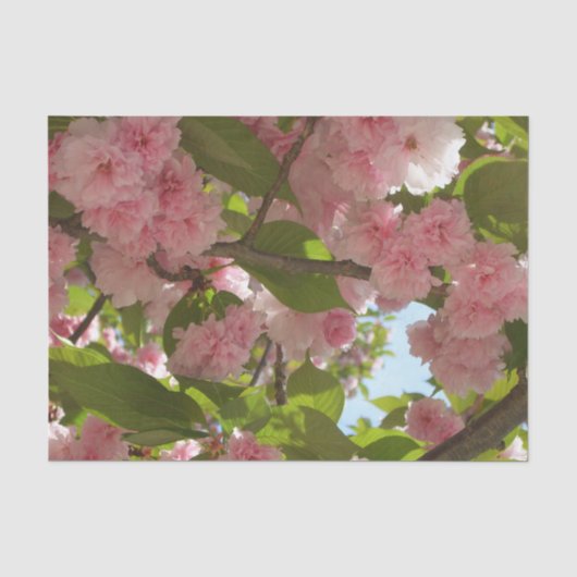 Doppelblühende Kirschbaum III Frühlingsflora Seidenpapier (Vorderseite)