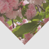 Doppelblühende Kirschbaum III Frühlingsflora Seidenpapier (Ausschnitt)