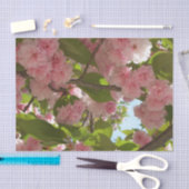 Doppelblühende Kirschbaum III Frühlingsflora Seidenpapier (Handwerk)