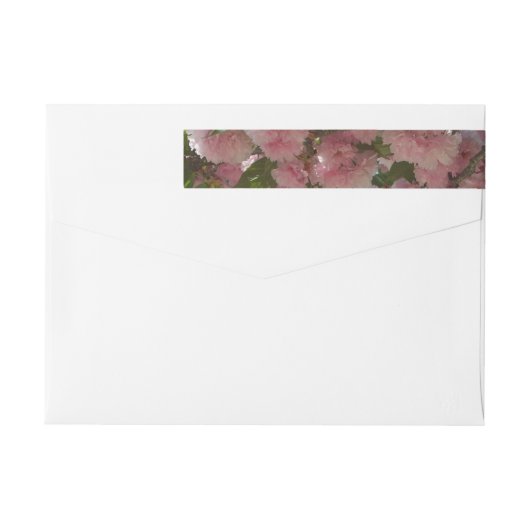 Doppelblühende Kirschbaum IV Frühjahr (Rückseite)