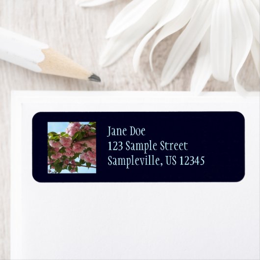 Doppelblühende Kirschbaum IV Frühjahr (Insitu)