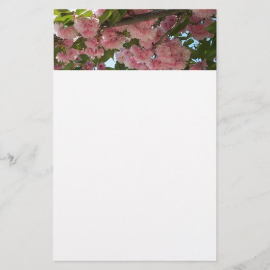 Doppelblühende Kirschbaum IV Frühjahr Briefpapier (Vorderseite)
